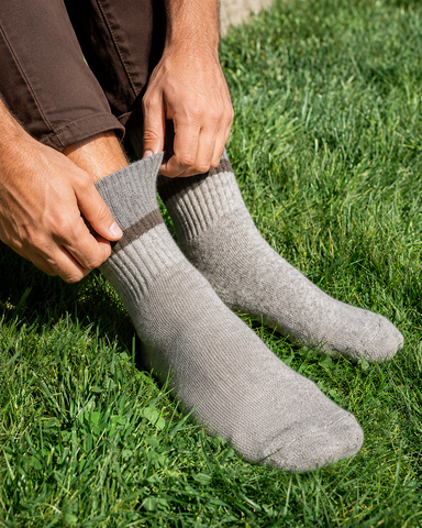 MEN'S PRESALE ARRIVING 22 JUNE Latte Toasty Toes Woollen Single Stripe Crew Socks