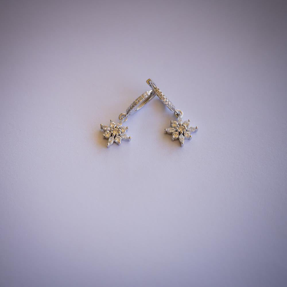 Petite Bling Earrings 035